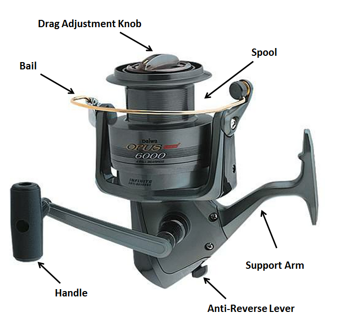 Coarse fishing reels explained 