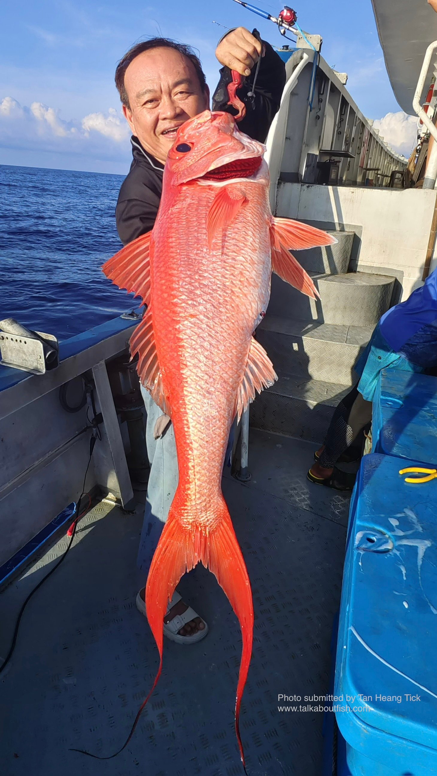 Deepwater Longtail Red Snapper (Etelis coruscans) Deepwater Longtail Red Snapper (Etelis coruscans)
