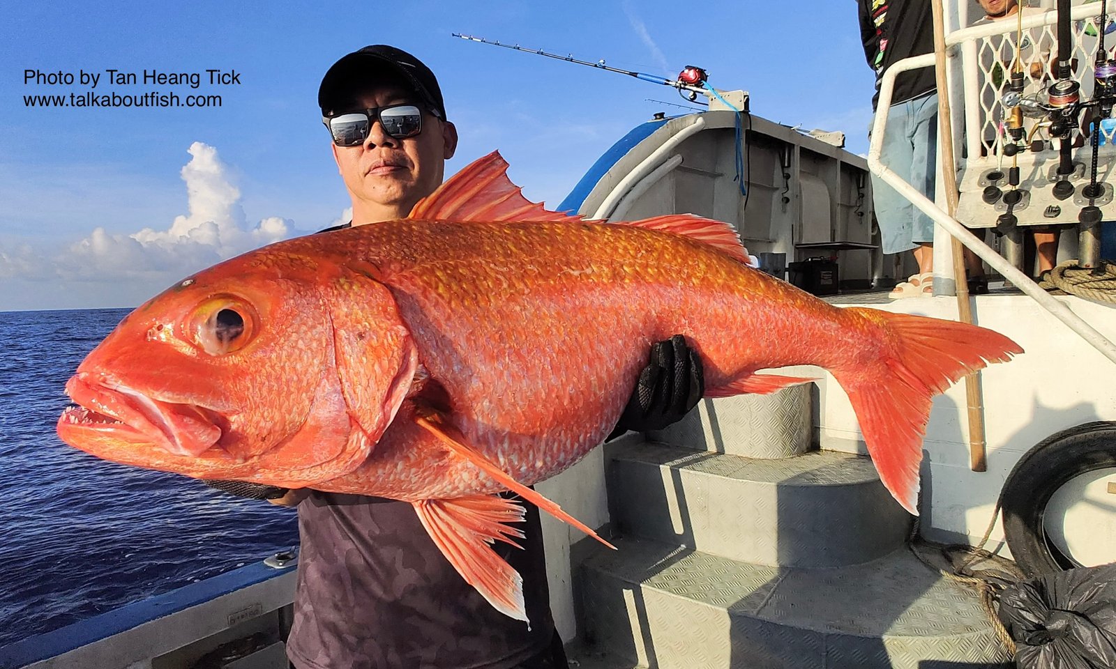 Ruby Snapper (Etelis carbunculus)