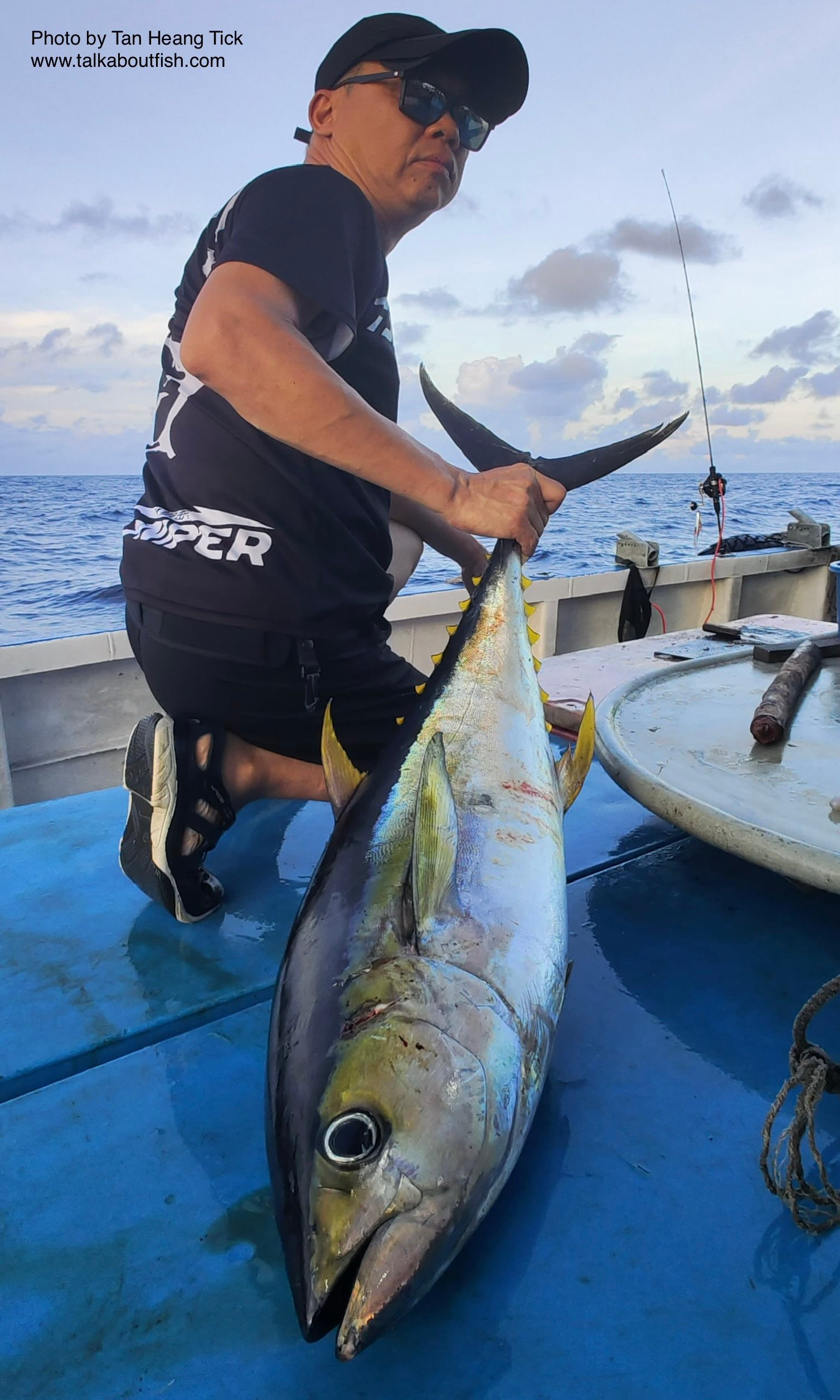 Yellowfin Tuna