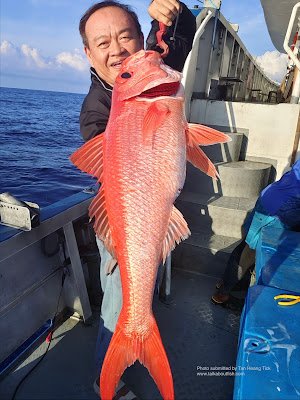 Deepwater Longtail Red Snapper