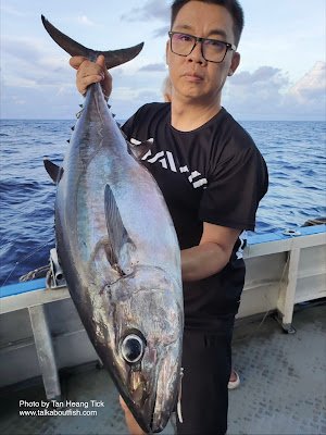 Dogtooth Tuna